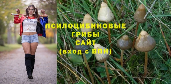 винт Абинск