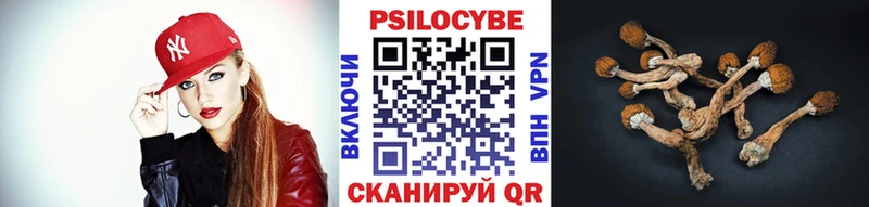 нарко площадка клад  Кострома  Галлюциногенные грибы Psilocybe 